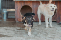 /album/260/whatsapp-image-2026-03-11-at-21-00-41-2-jpeg/